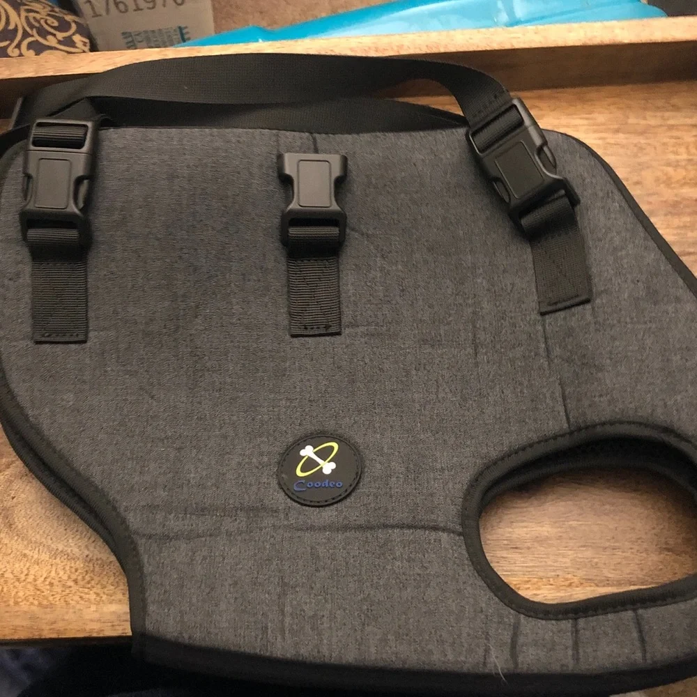 Gray Dog Seat Carrier with Secure Buckle Straps